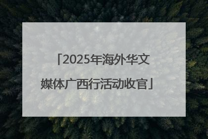 2025年海外华文媒体广西行活动收官