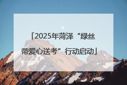 2025年菏泽“绿丝带爱心送考”行动启动