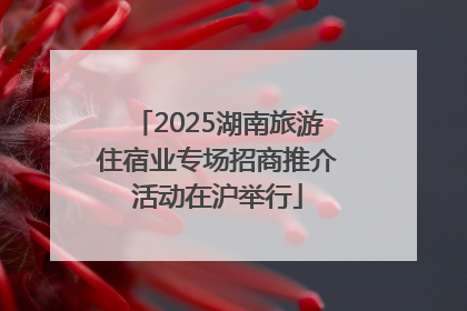 2025湖南旅游住宿业专场招商推介活动在沪举行