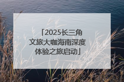 2025长三角文旅大咖海南深度体验之旅启动