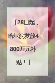 28日起，哈尔滨发放4800万元补贴！