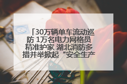 30万辆单车流动巡防 1万名电力网格员精准护家 湖北消防多措并举掀起“安全生产月”宣传热潮