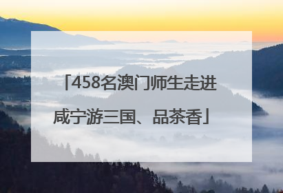 458名澳门师生走进咸宁游三国、品茶香