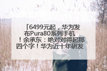 6499元起，华为发布Pura80系列手机！余承东：绝对对得起那四个字！华为近十年研发投入12490亿元