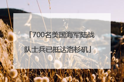700名美国海军陆战队士兵已抵达洛杉矶