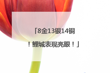 8金13银14铜！鲤城表现亮眼！