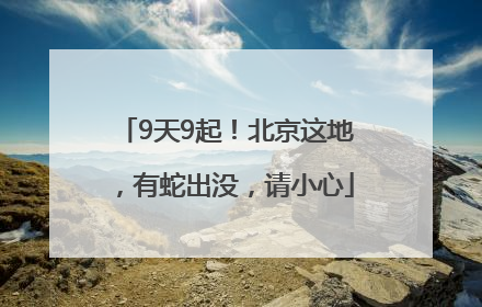 9天9起！北京这地，有蛇出没，请小心