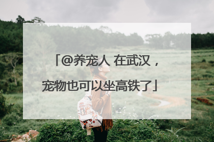 @养宠人 在武汉，宠物也可以坐高铁了