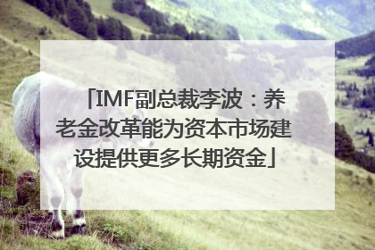 IMF副总裁李波：养老金改革能为资本市场建设提供更多长期资金