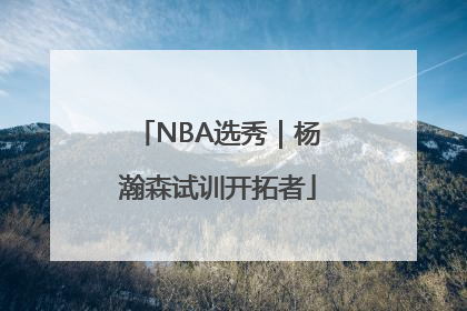 NBA选秀｜杨瀚森试训开拓者