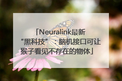 Neuralink最新“黑科技”：脑机接口可让猴子看见不存在的物体
